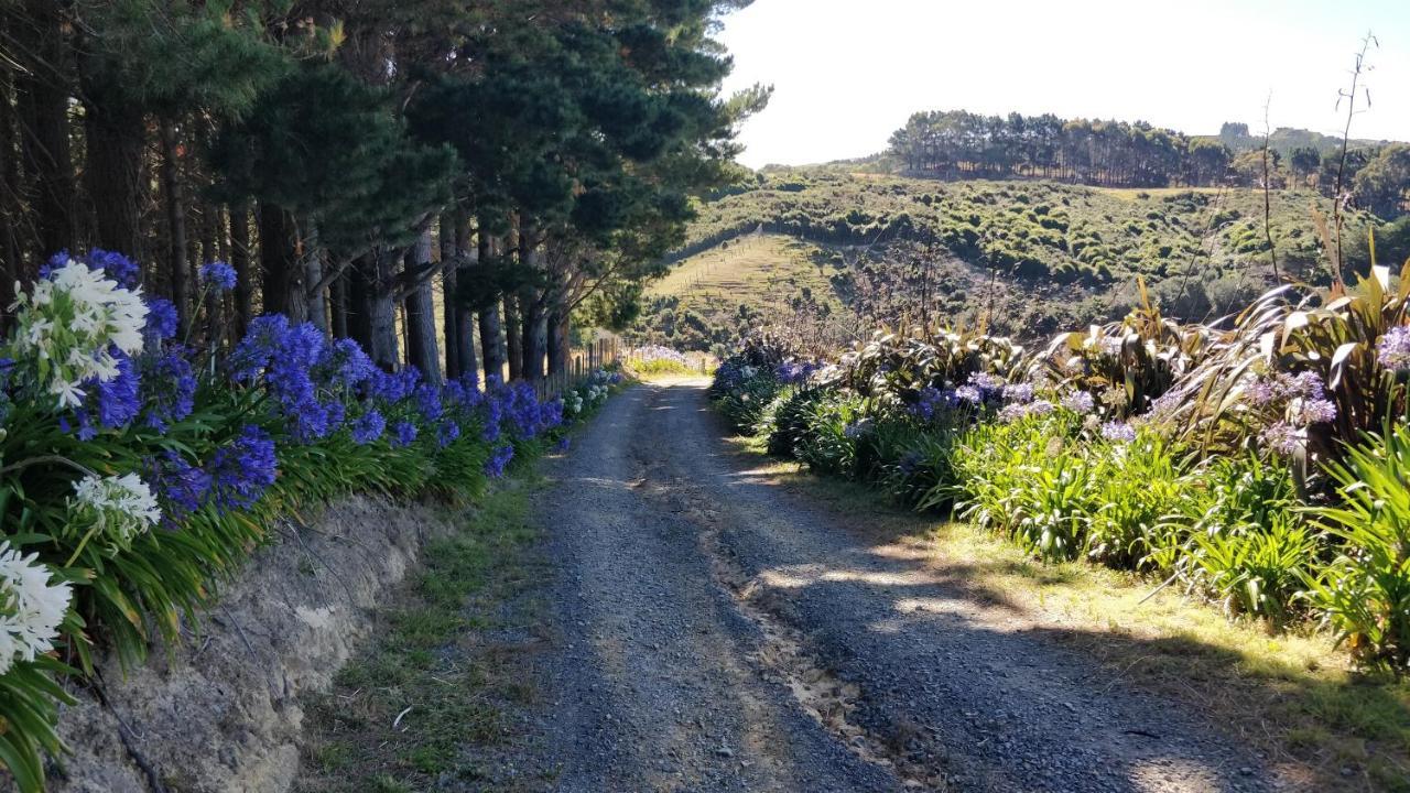 Hilltop Lodge Porirua Dış mekan fotoğraf